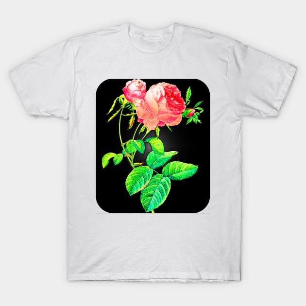 Black Panther Art - Rose Art 2 T-Shirt by The Black Panther